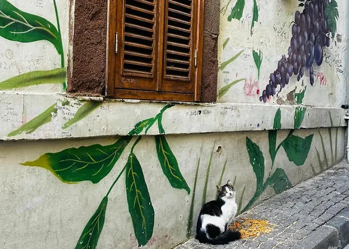 Galata Hive Apartment *