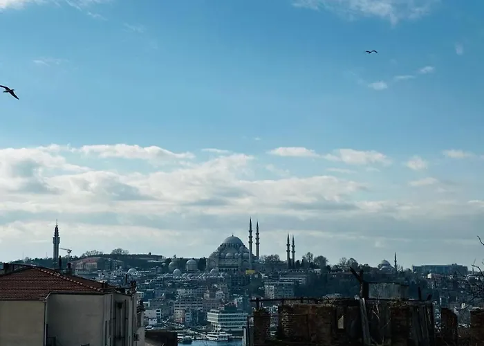 Apartment Galata Hive