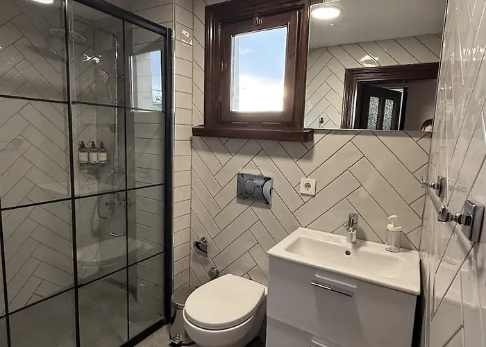 Apartment Galata Hive *