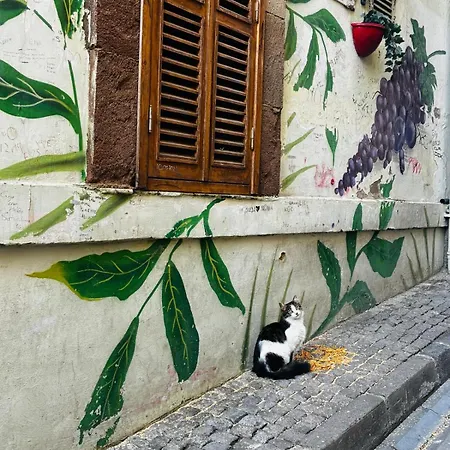 Galata Hive Lejlighed *